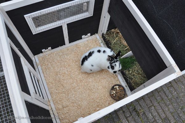 Binnenhok met aansluitend een nachthok.
