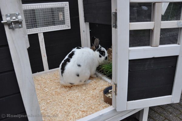 Voldoende ruimte in het binnenhok.