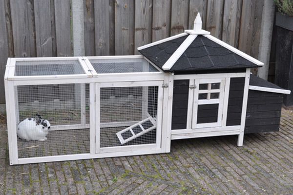 Voldoende ruimte voor twee konijnen.